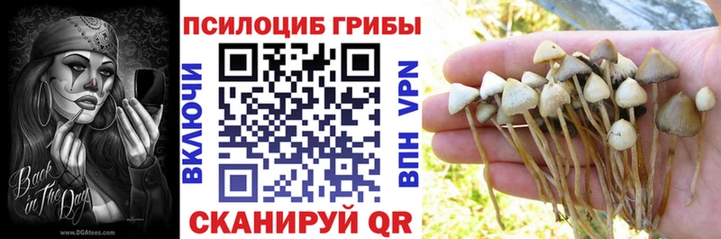 закладки  Дзержинск  ссылка на мегу вход  Галлюциногенные грибы Psilocybine cubensis 
