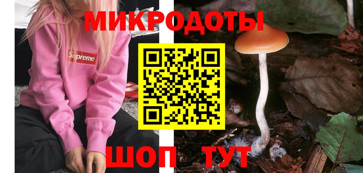 Дзержинск  Псилоцибиновые грибы Cubensis  Псилоцибиновые грибы прущие грибы  Вход с VPN 